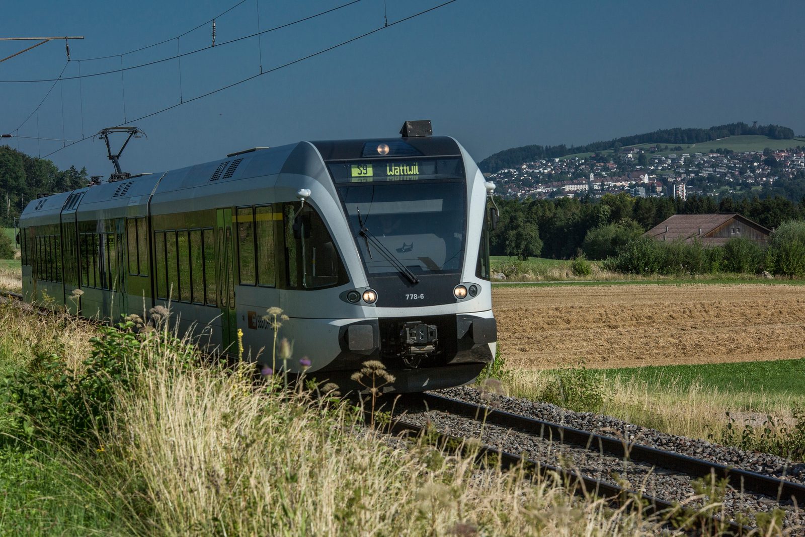 Streckensperrung Wil SG – Wattwil: Züge S9 fallen wegen Bauarbeiten aus