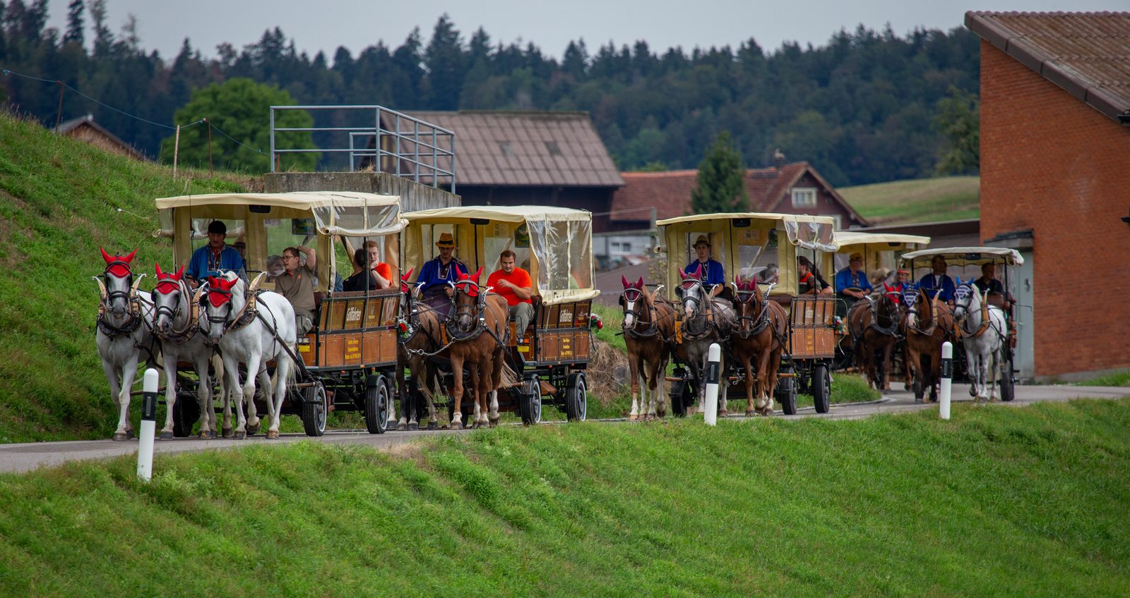 Ein unvergesslicher Kutschen-Ausflug für die Solino-Bewohnenden