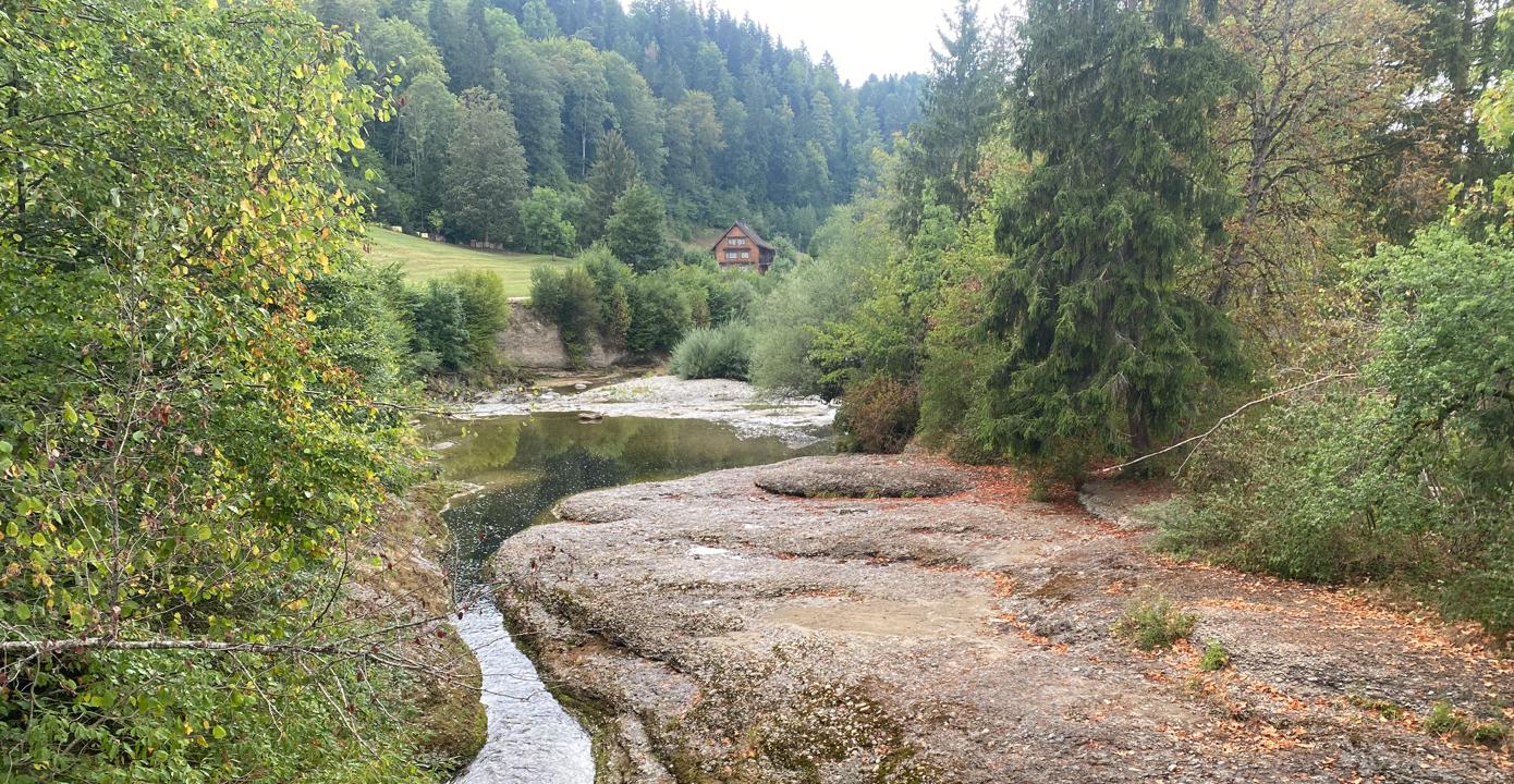 Alttoggenburg
