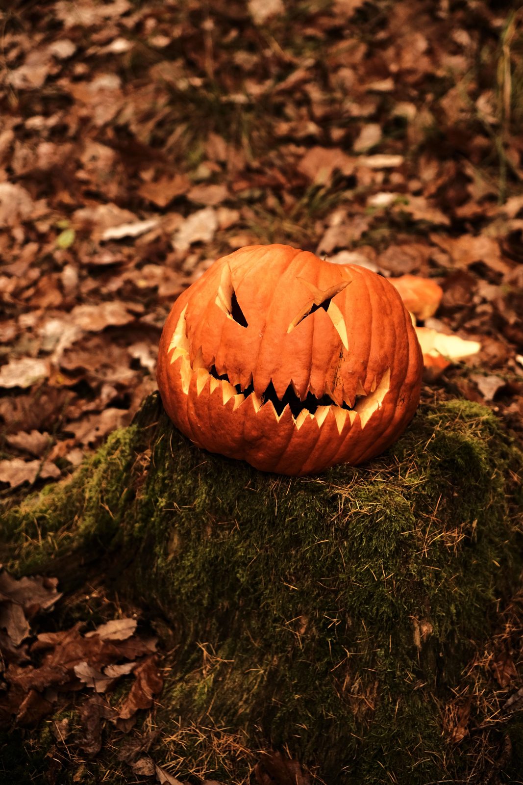Genthoween: inscription jusqu'au 15.10