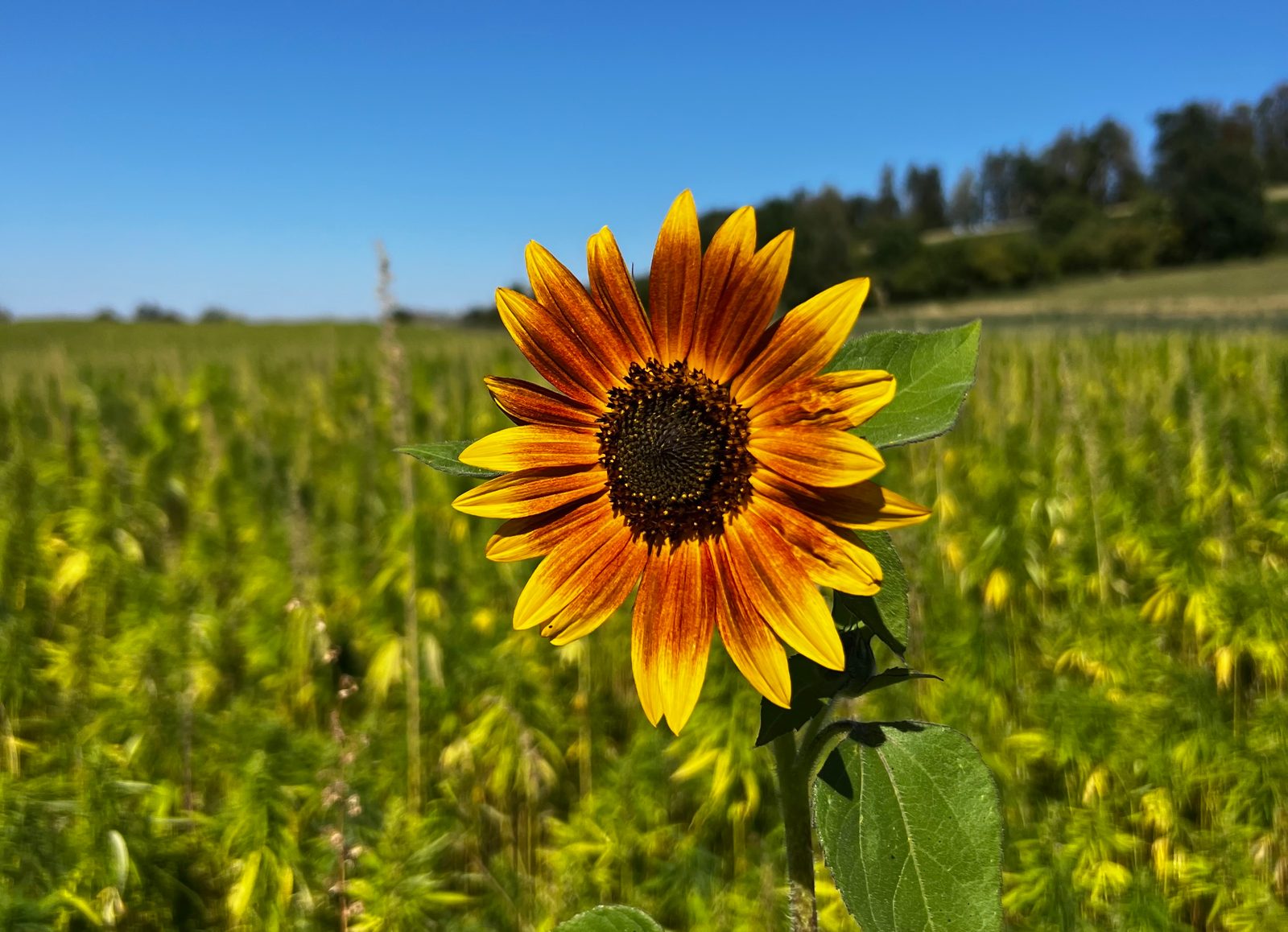 Unterwegs in Wiesendangen